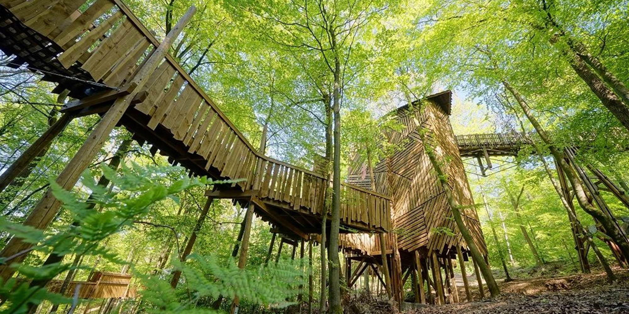 @IDELUX-AIVE, @Arnaud SIQUET