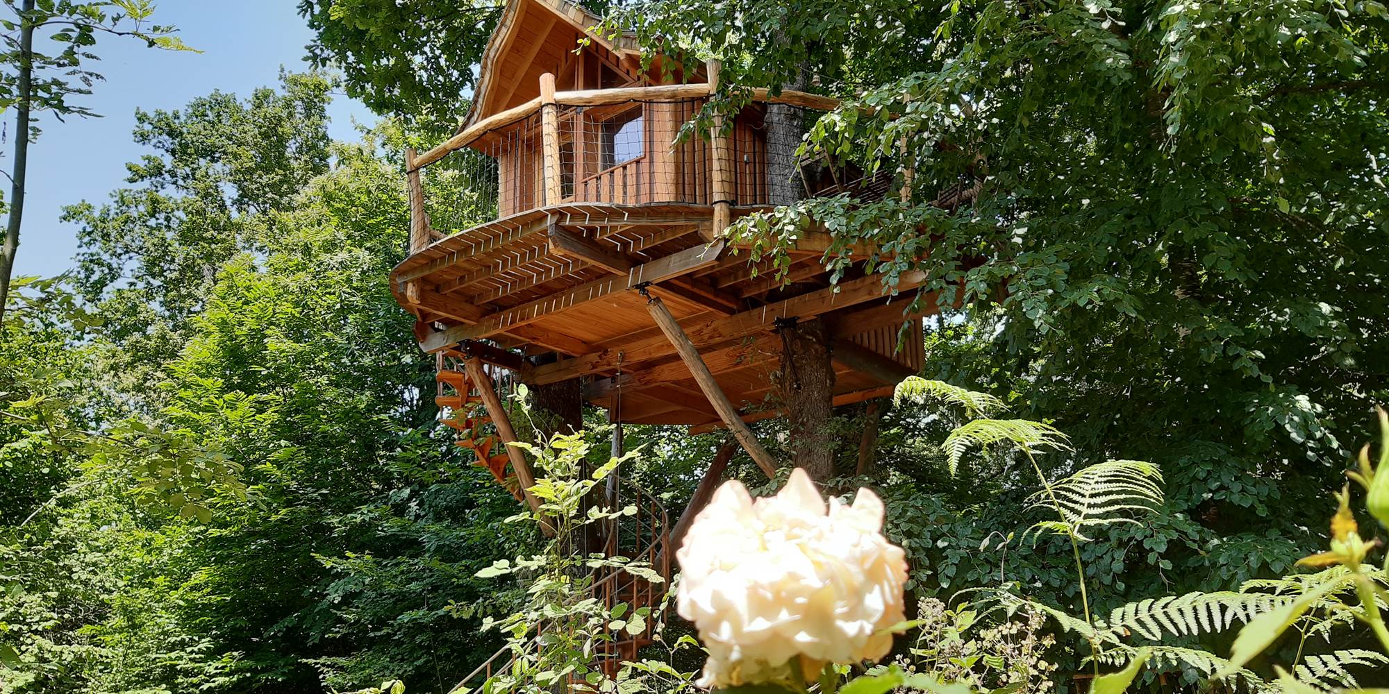 la cabane et la rose