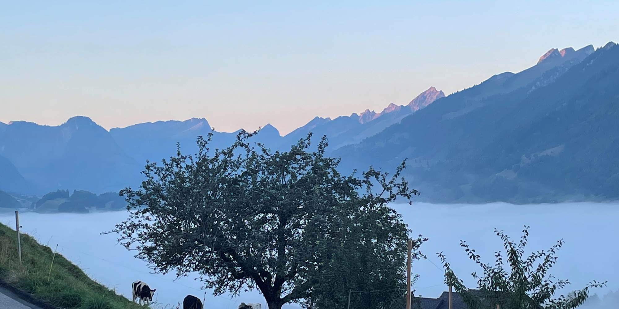 vue-panoramique-gruyere-montagnes-vanils-intyamon-studio-vacances-couple-suisse