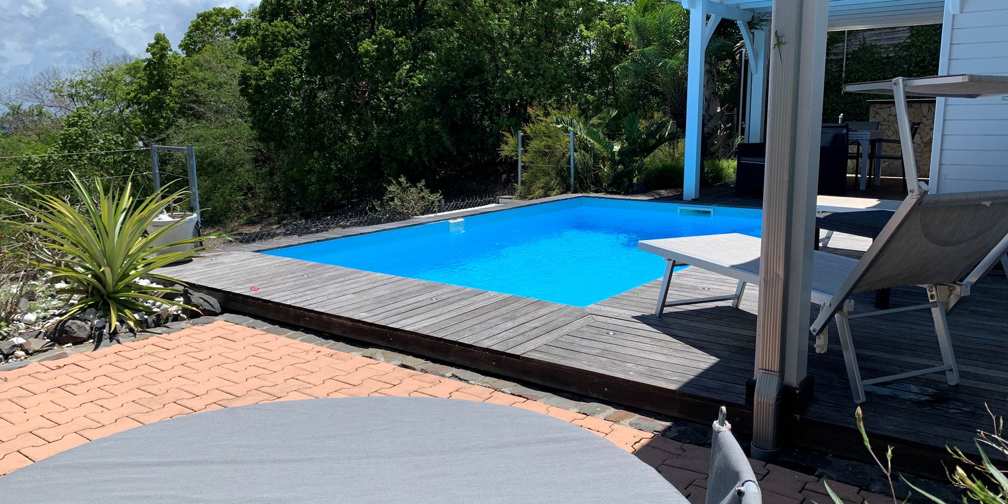 Un petit bain de soleil ou un plongeons dans la piscine ?