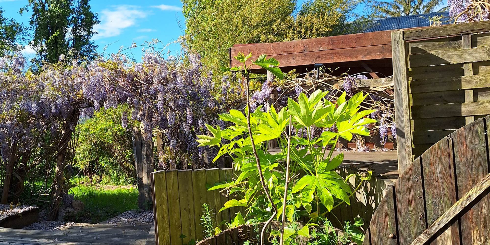 terrasse-bois-jardin-hebergement-nature-Masserac.jpg