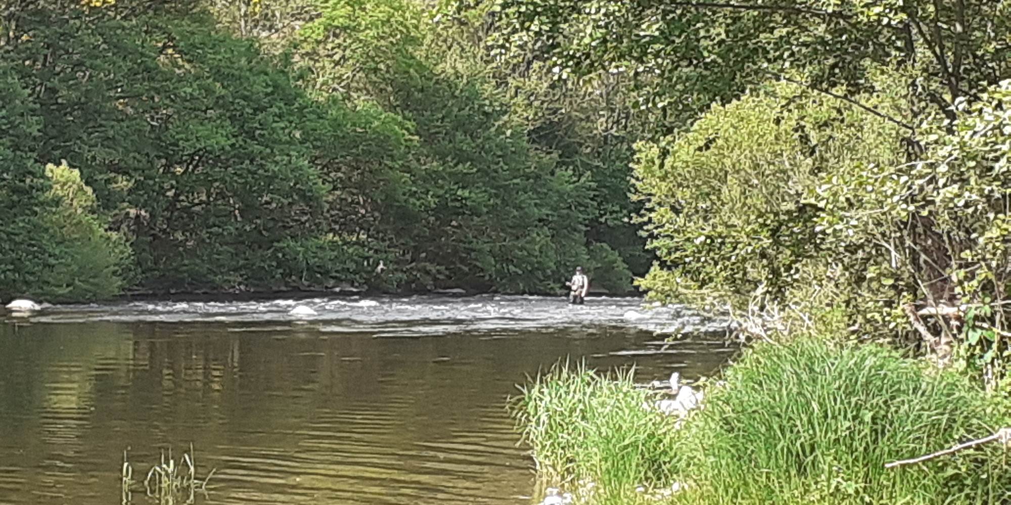Pêche sur la rivière Allier