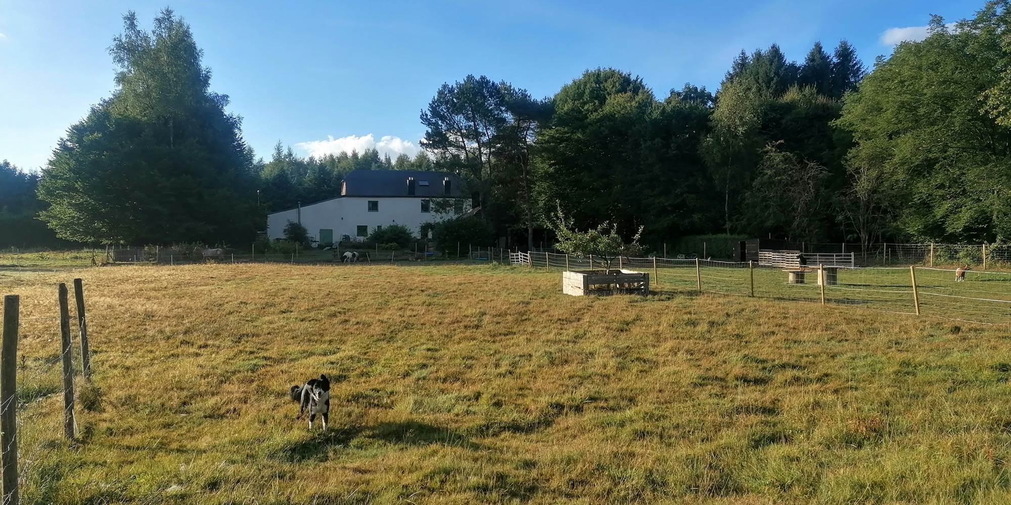 Prairie + Maison
