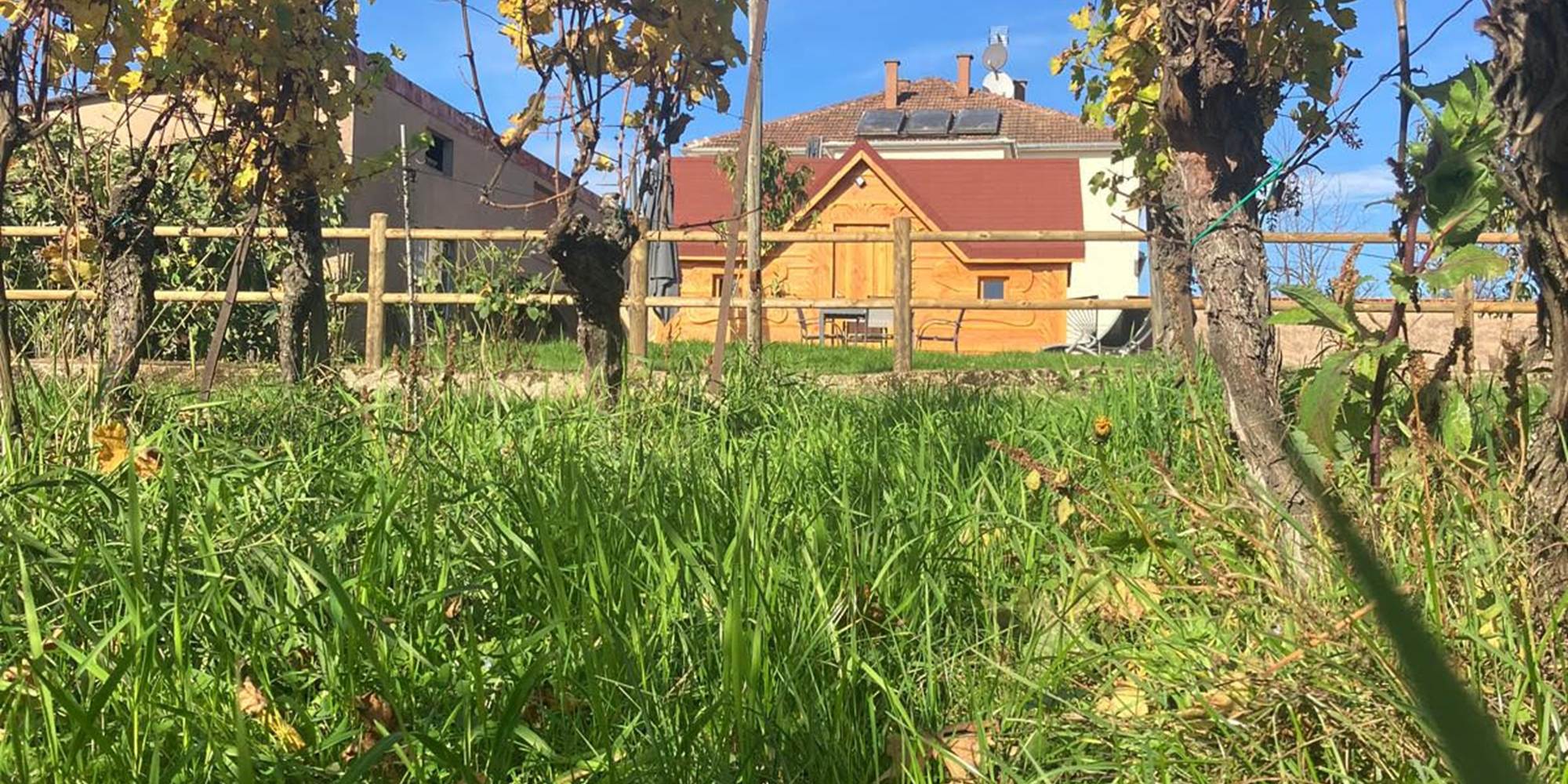 cabane au pieds des vignes