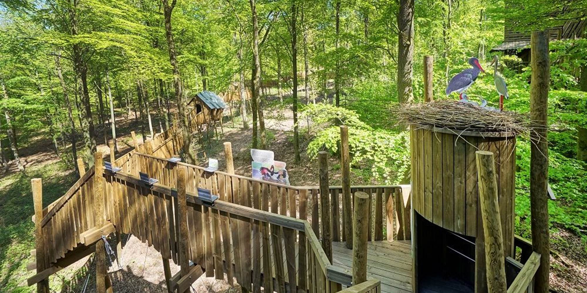 @IDELUX-AIVE, @Arnaud SIQUET