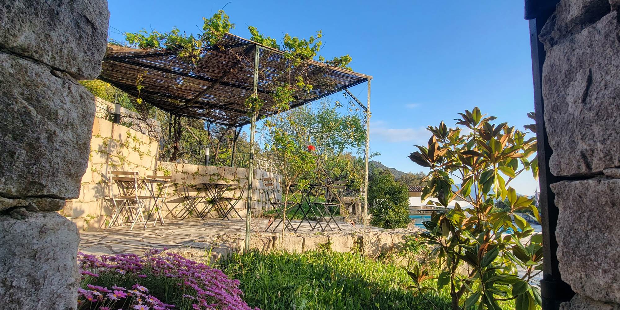 Terrasse ombragée avec pergola et vue sur le jardin méditerranéen du domaine.