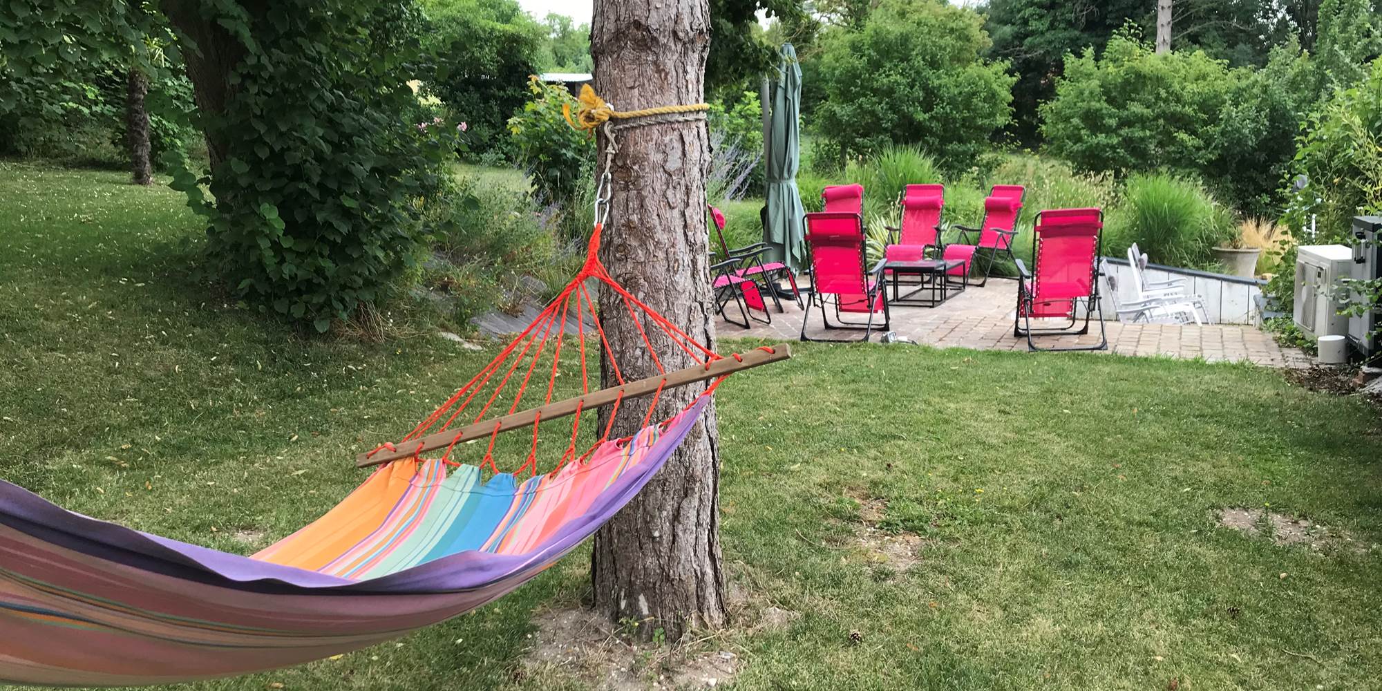 Le hamac et la pelouse haute