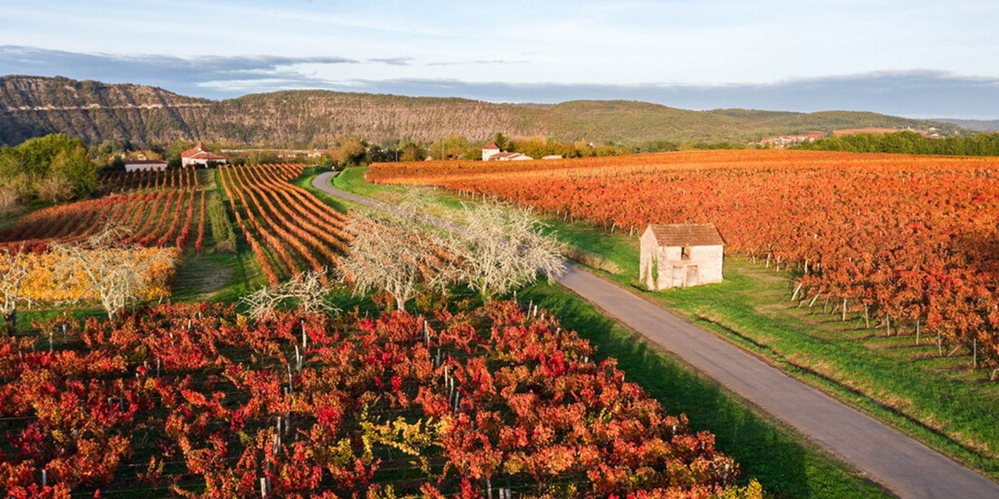 201029165906 Vignoble de Cahors en automne à Parnac © C. Novello - Lot Tourisme_1024x682