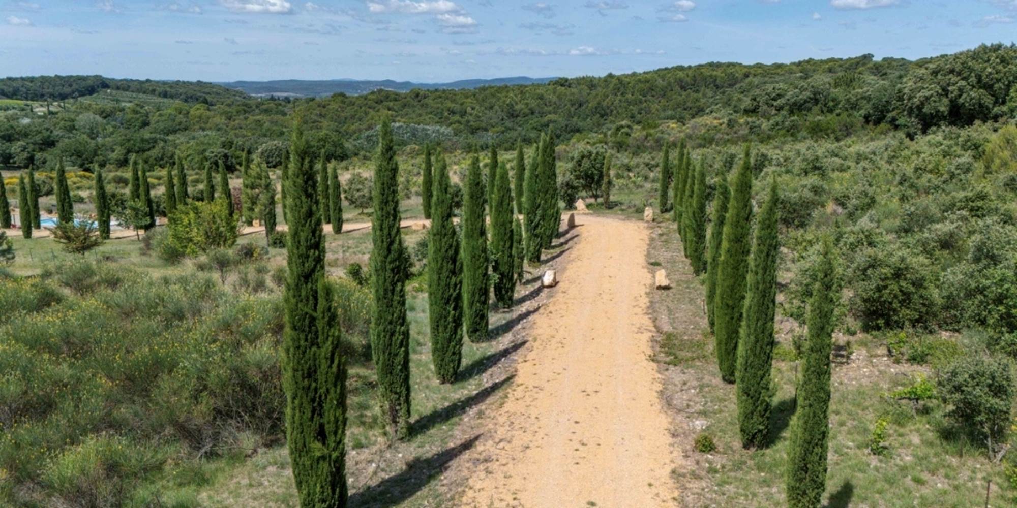 Allée de cyprès - Provence