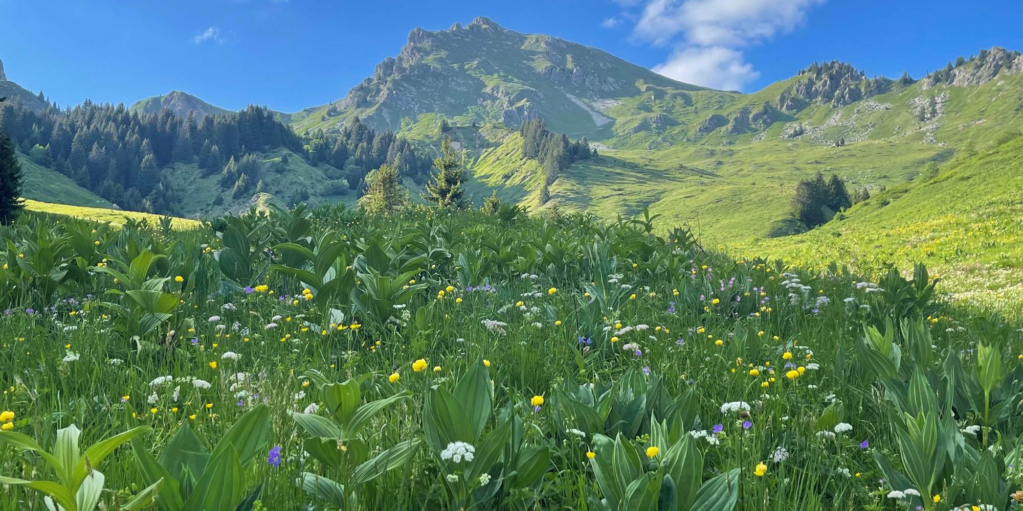 Vue de la pointe de Chalune depuis le vallon de Praz l'évêque le 26 mai 2022