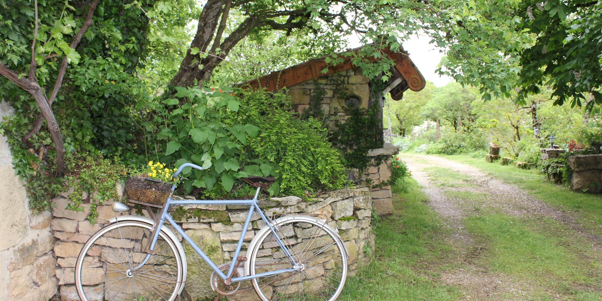 Chemin Gîte