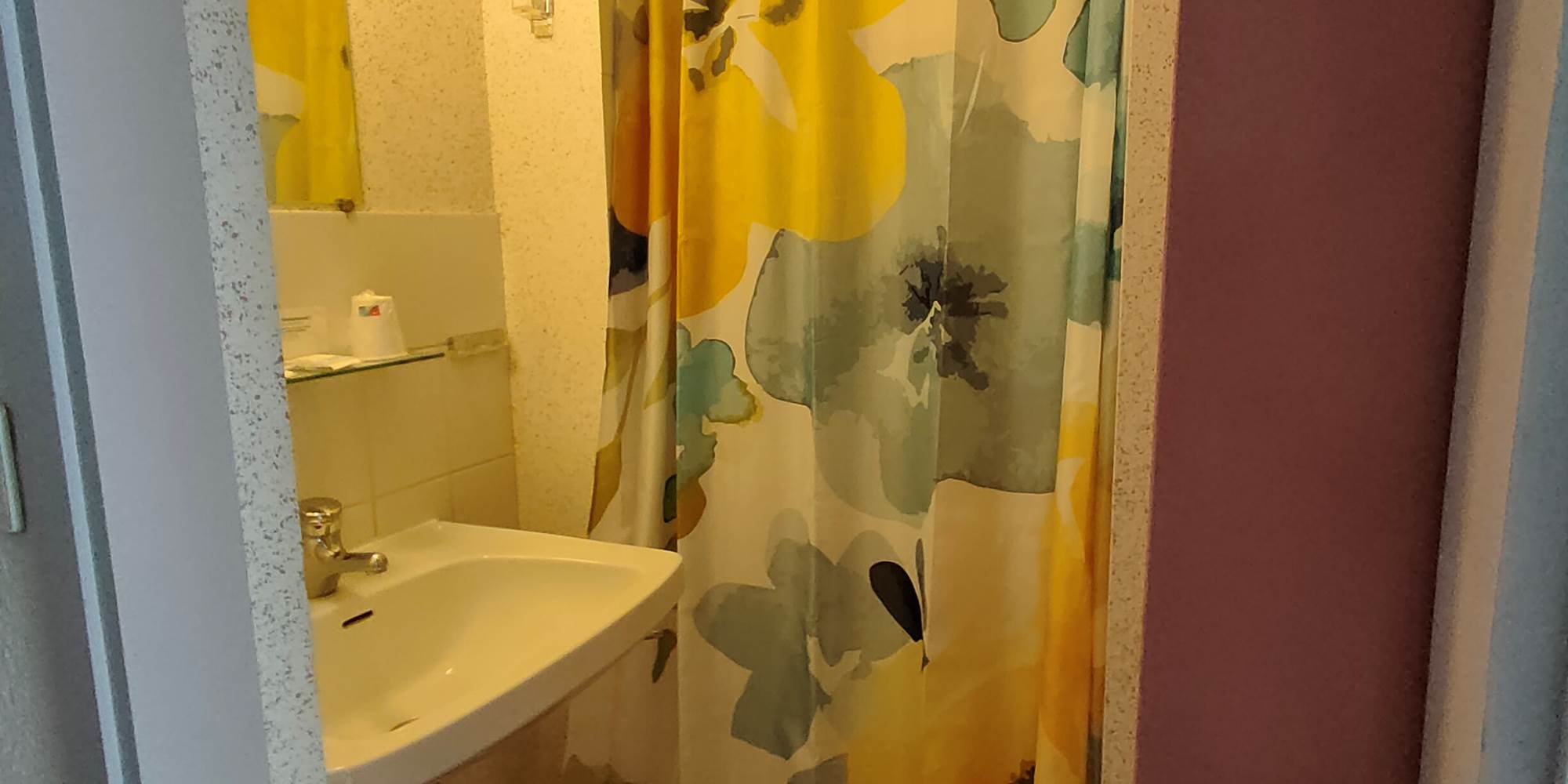 Au_Val_Dore_La_Bourboule_Chambre.Double.Economique.Salle.d.eau