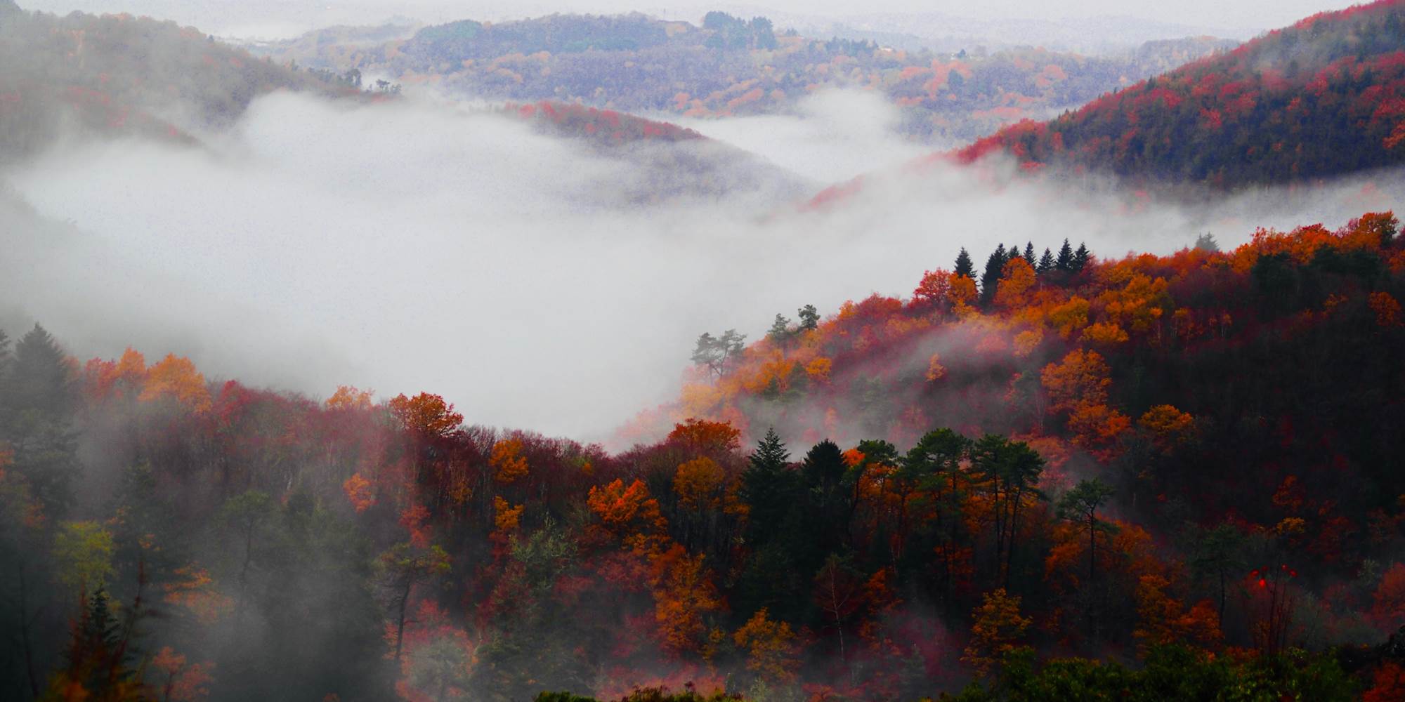 Vue d'Automne, depuis vos fenêtres : chambre 1 et salon (Gîte-Appartement), des 2 fenêtres de la chambre (Gîte-Maison).