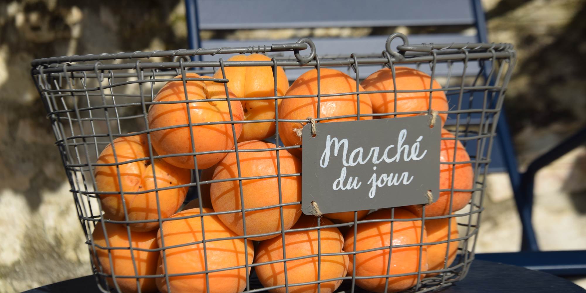 Récolte d'abricots