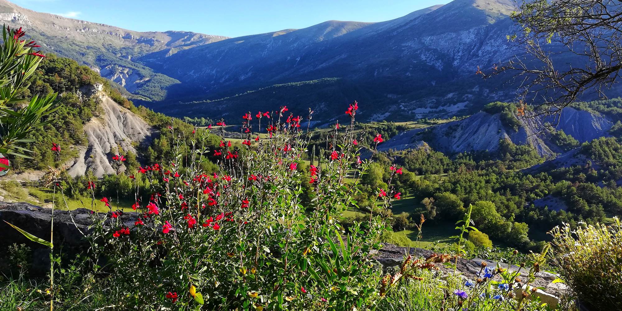 vue sur les montagnesIMG_20180826_180359-01