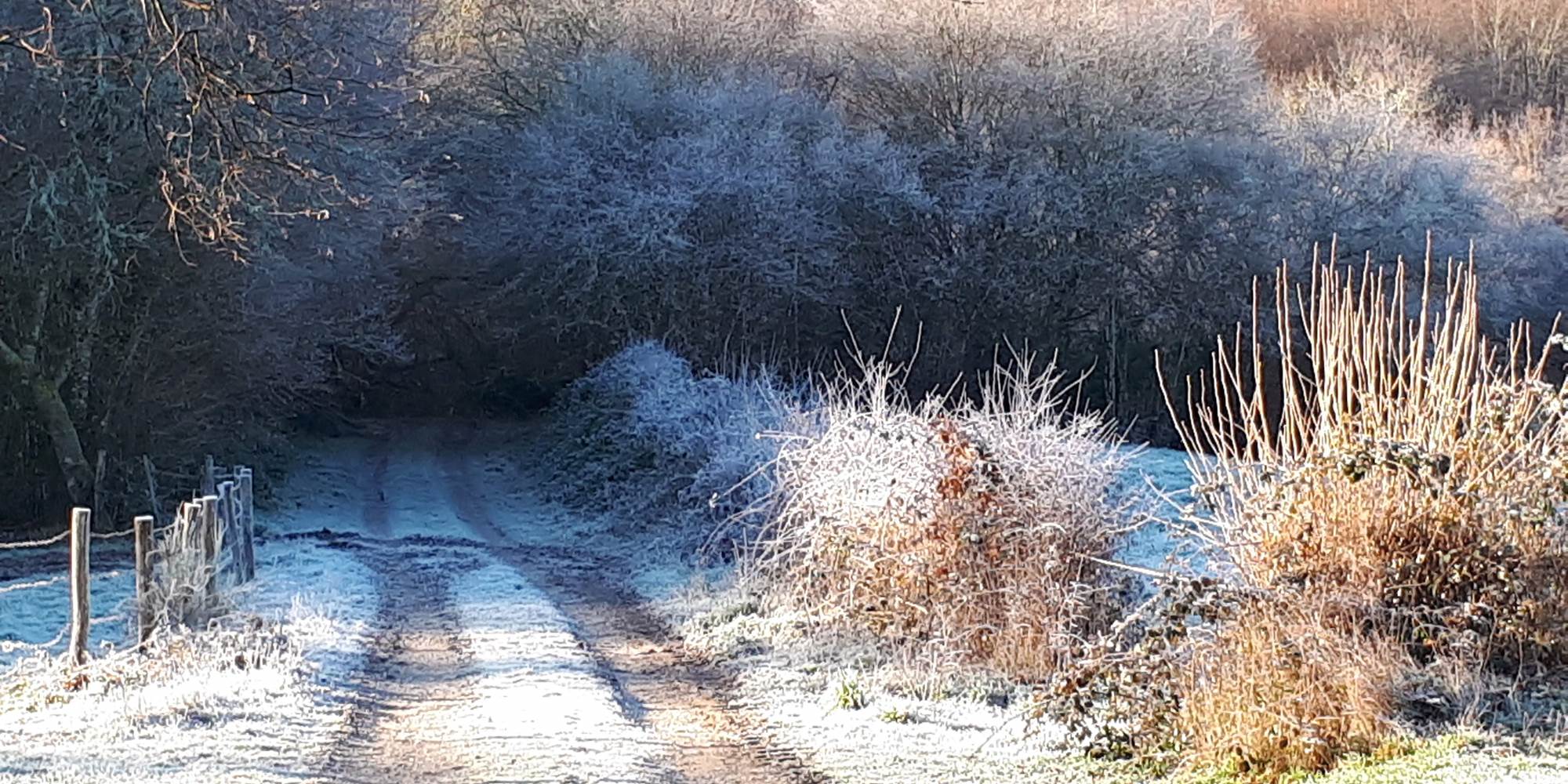 L'accès direct à la forêt