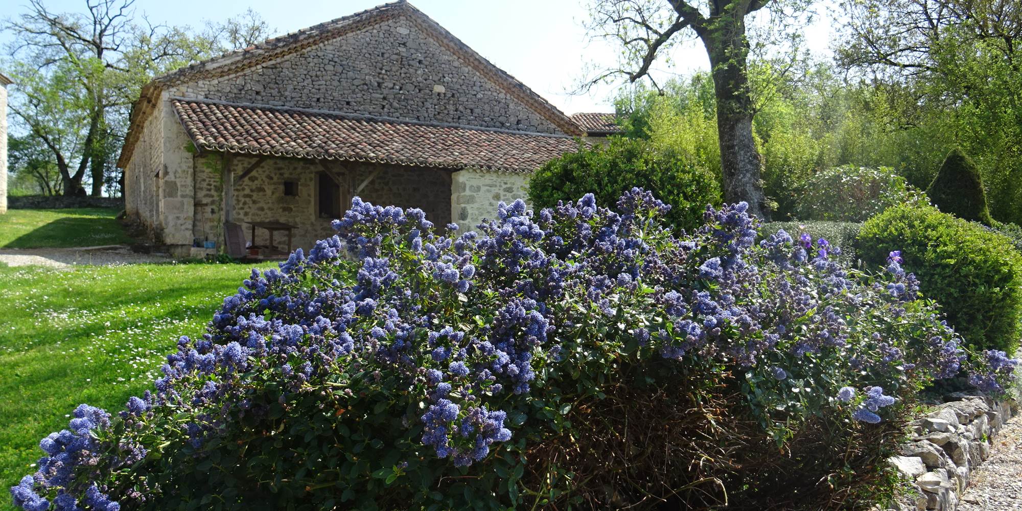 DSC00975