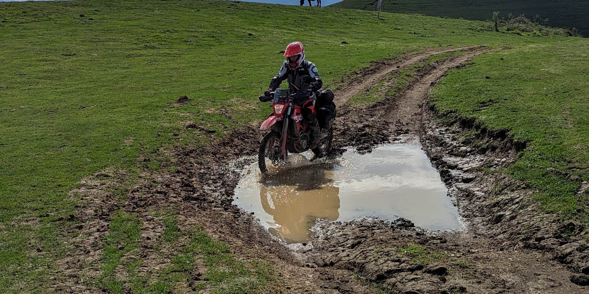 vive le Barétous !!