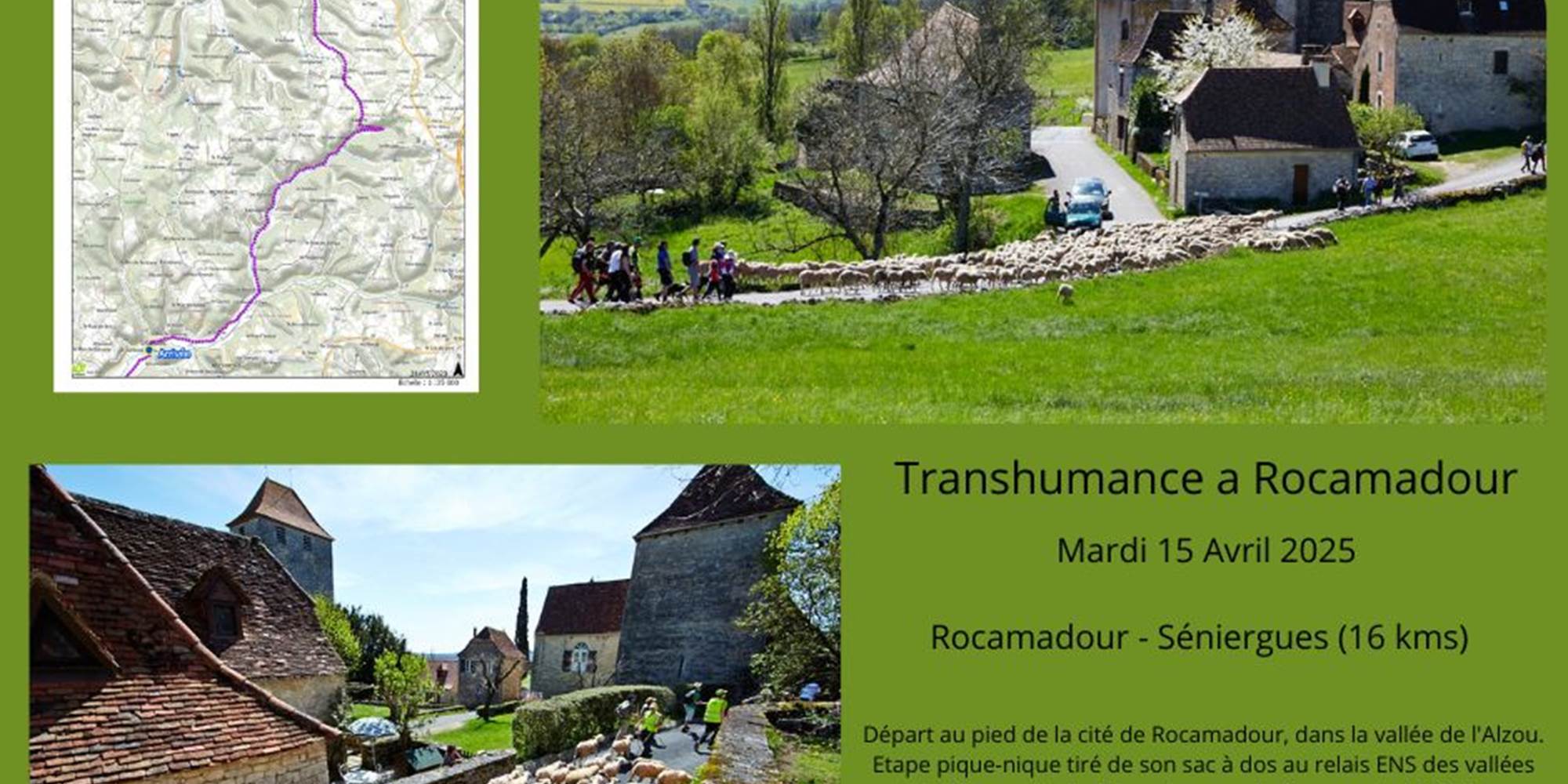 Transhumance