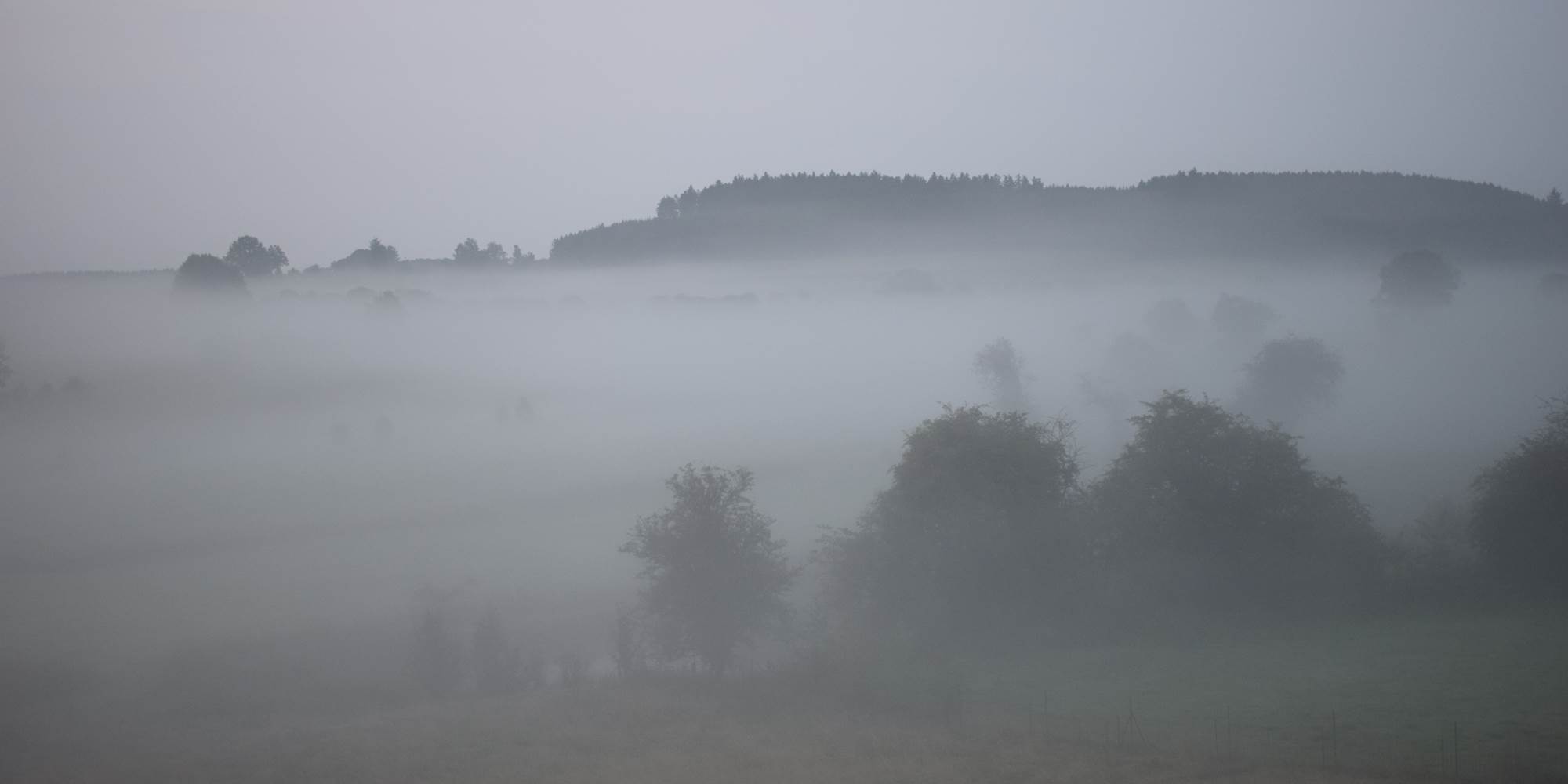 Brouillard automnal