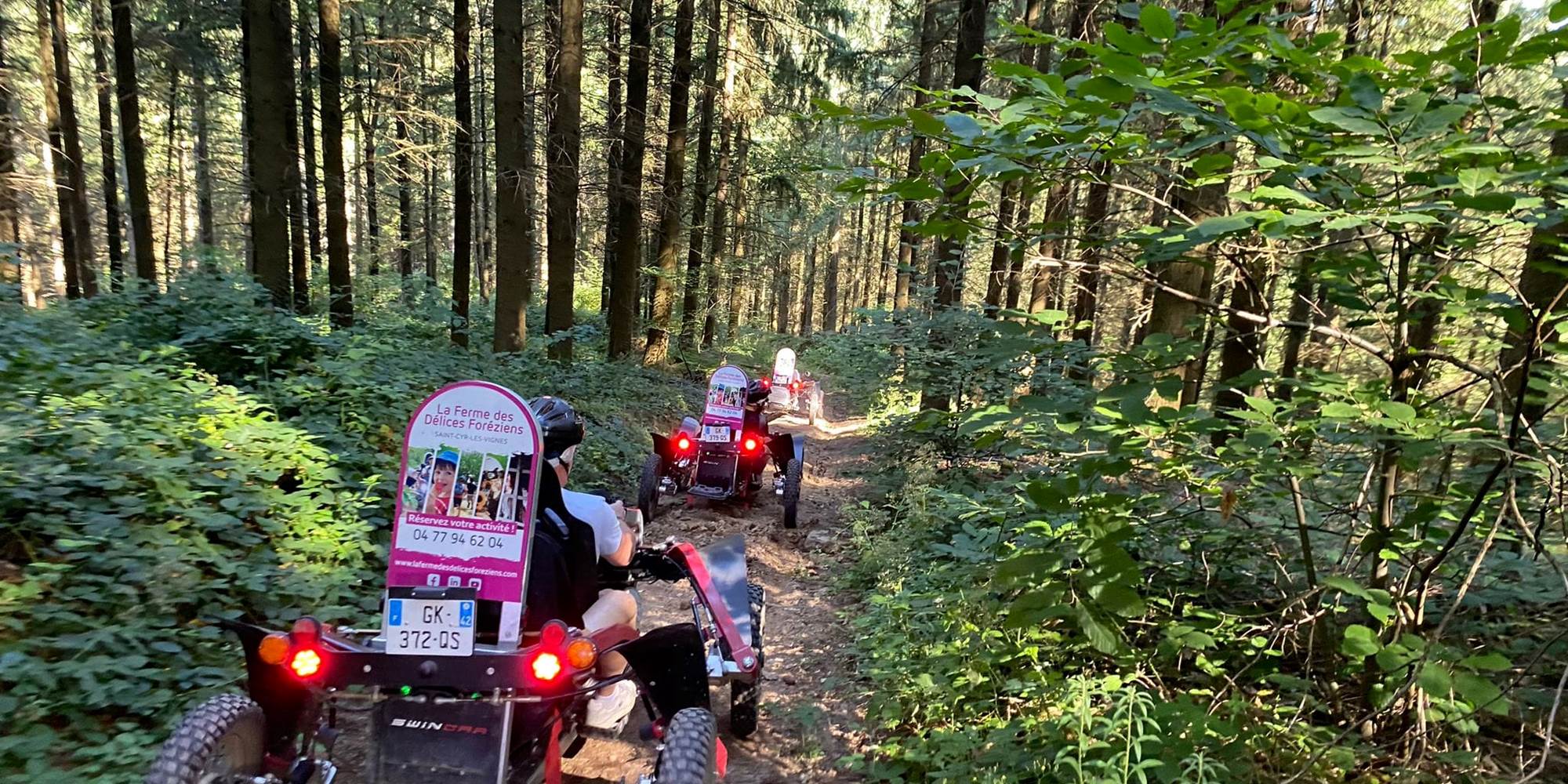 swincar en foret bis ferme des délices foréziens