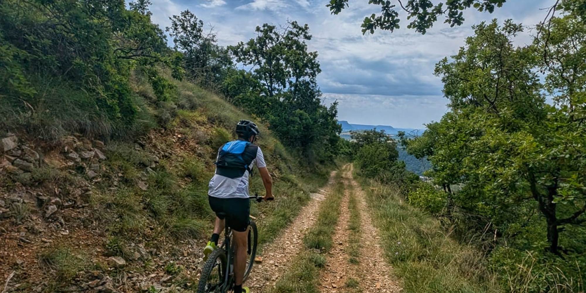 54807c46-0f9a-447b-8582-bec9aea3a15d