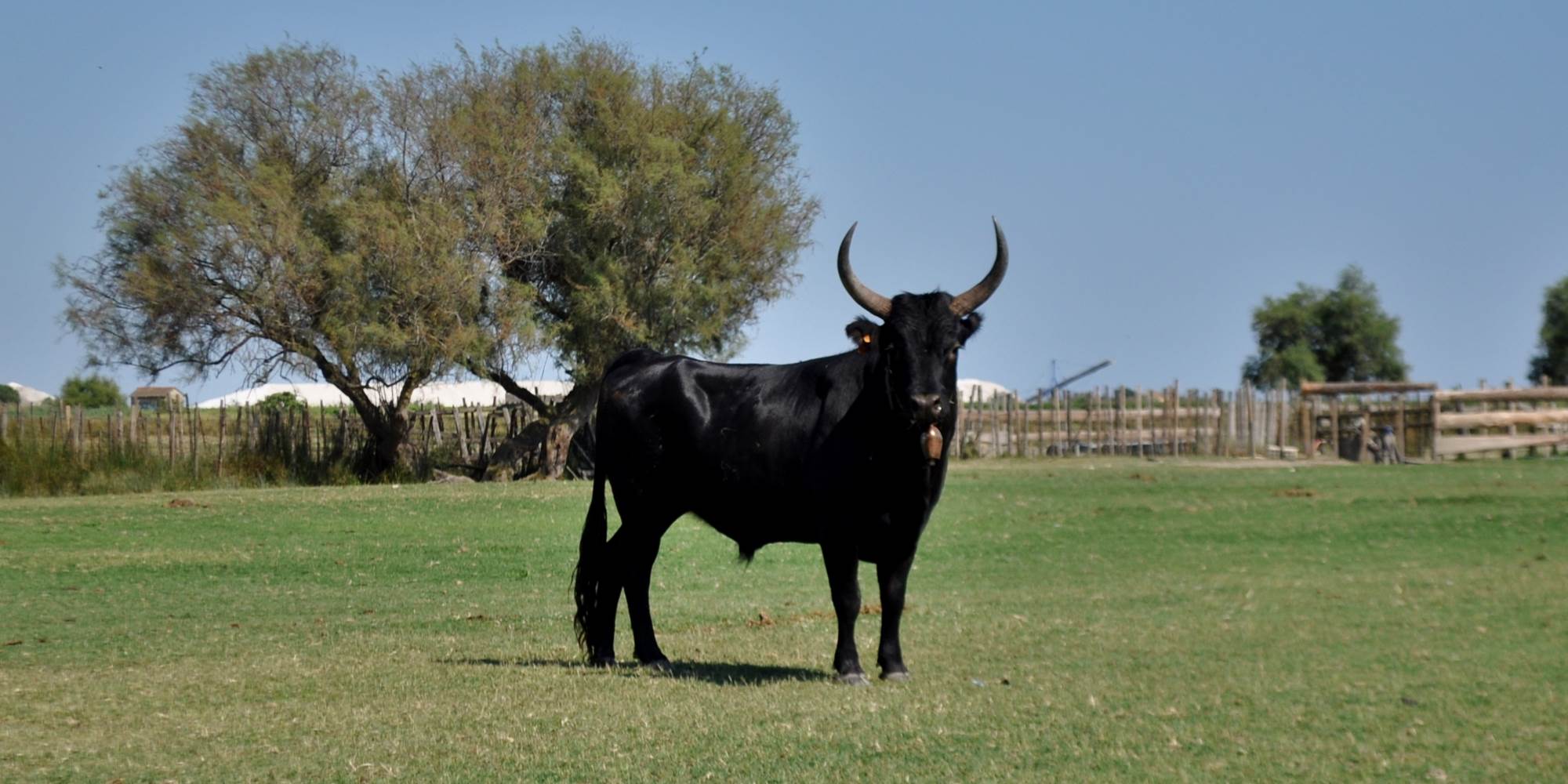 Simbeù