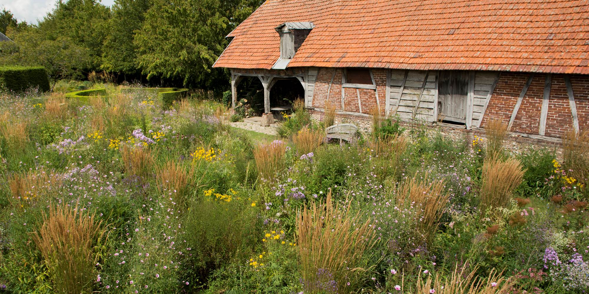 Jardin plume - Auzouville-sur-ry
