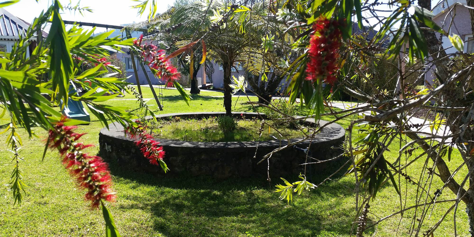 jardin 5