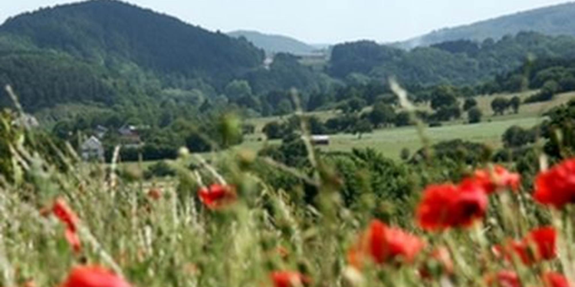 Le village d'Olloy lové dans la vallée du Viroin
