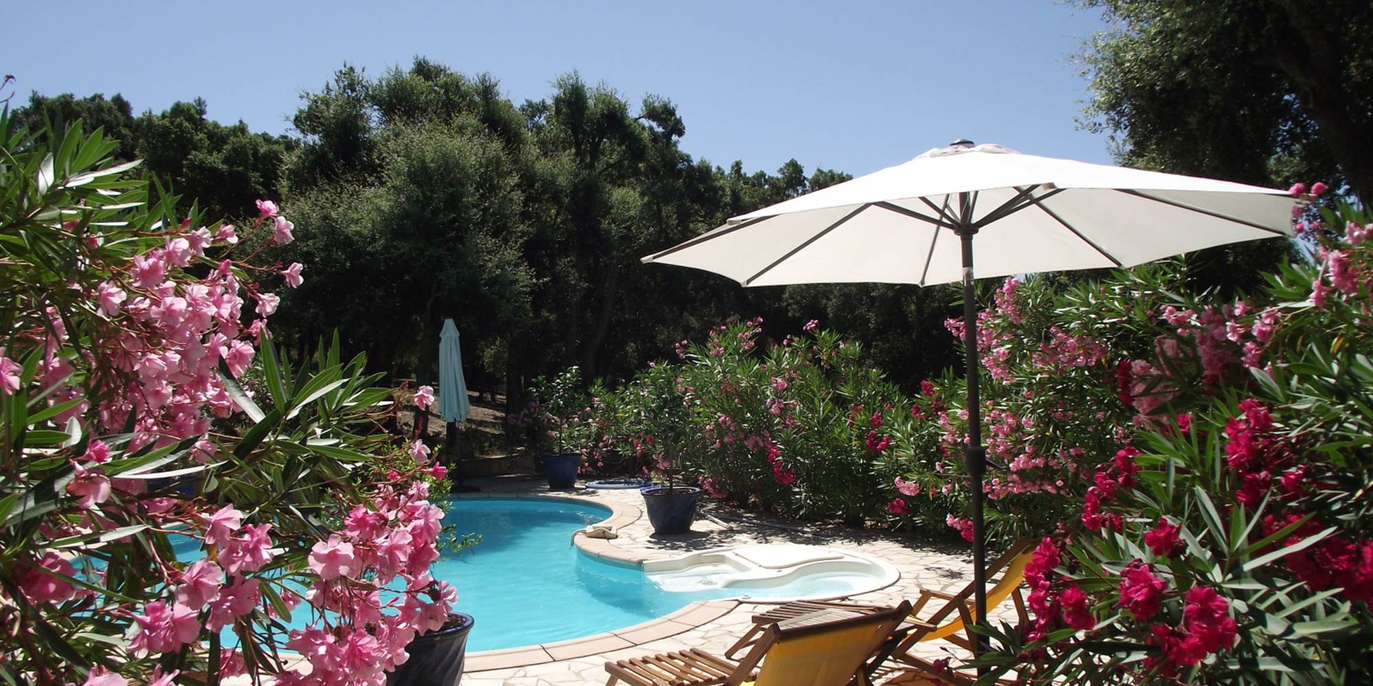Piscine 014(1)