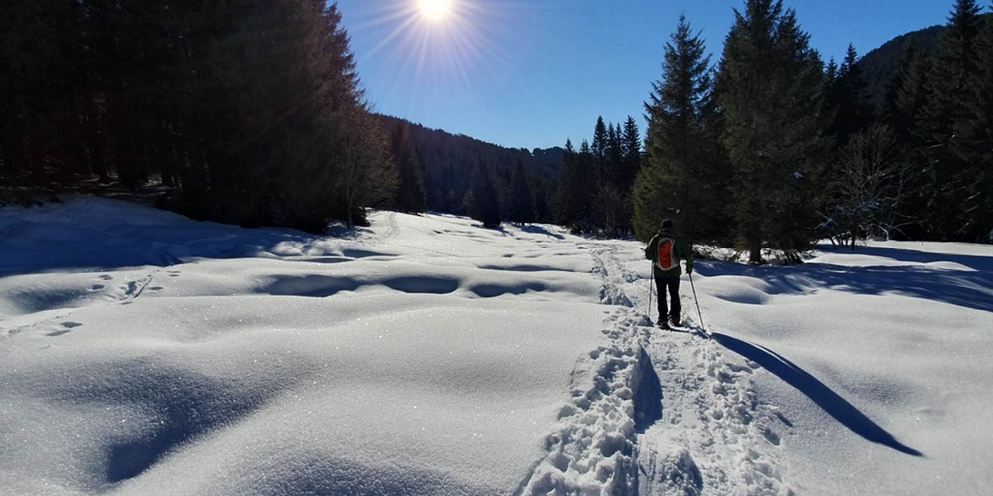 Raquettes sur le sentier de la Gotreuse - Sur place