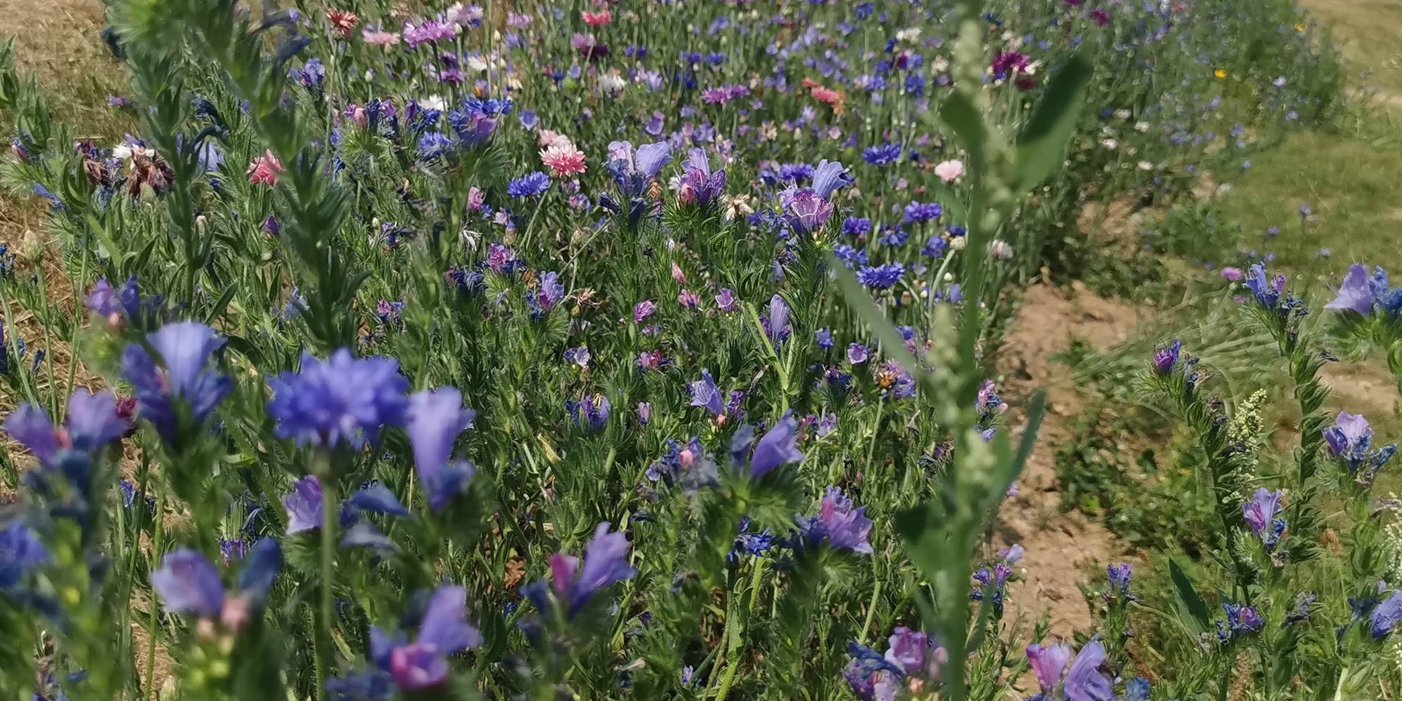 Accès aux sanitaires