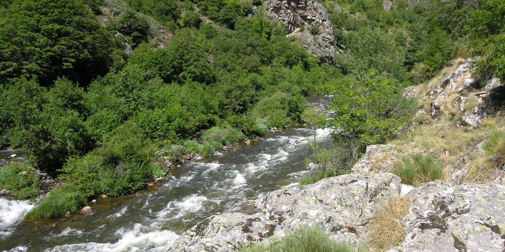 Canoë kayak dans les gorges de l'Allier