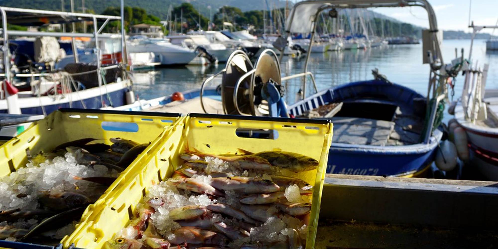 csm_PECHE_POISSON_PORT_f76d23bff7