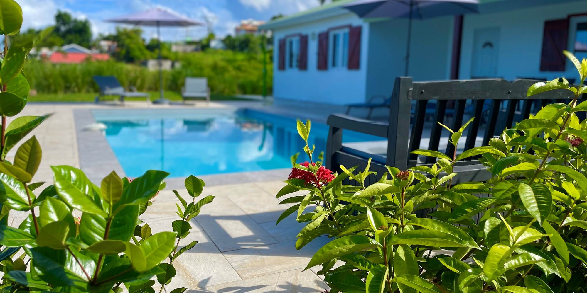 Villa Colibri - Vieux-Habitants