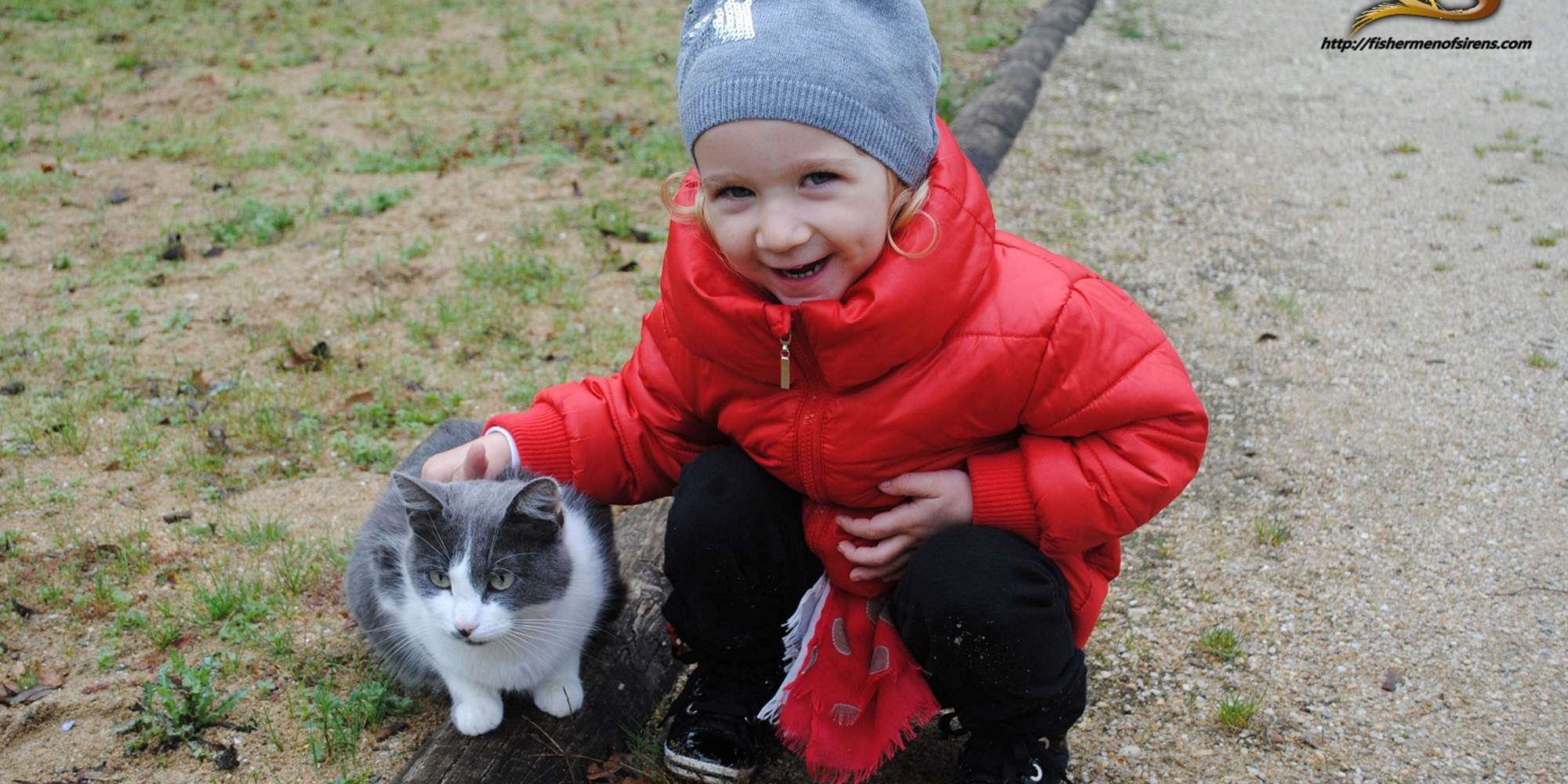 Chat