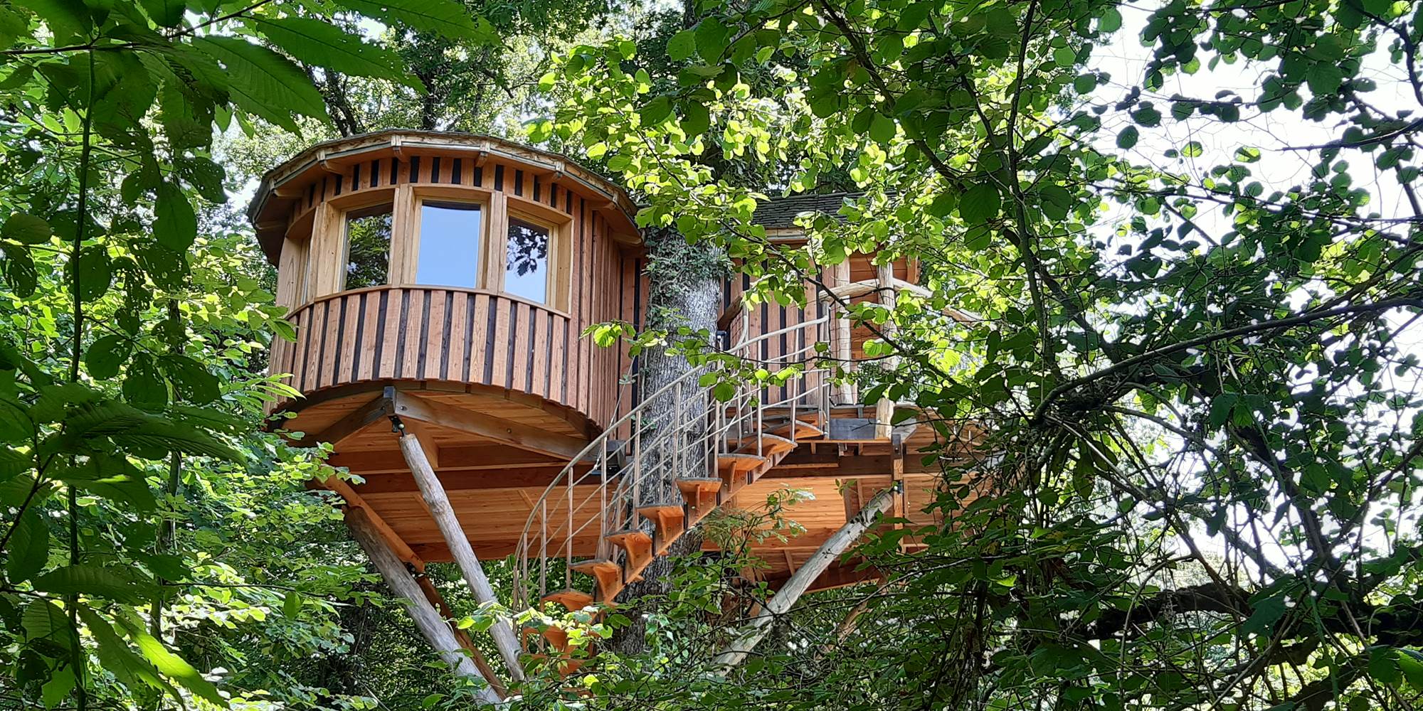 ambiance Forêt