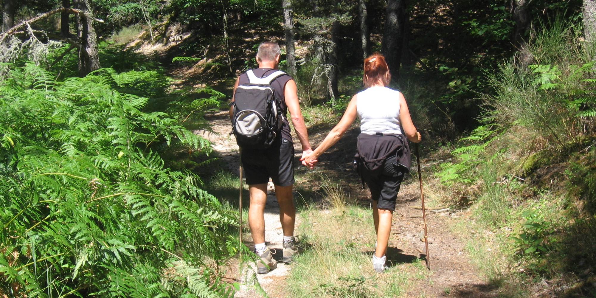Ballade sur les chemins de Margeride