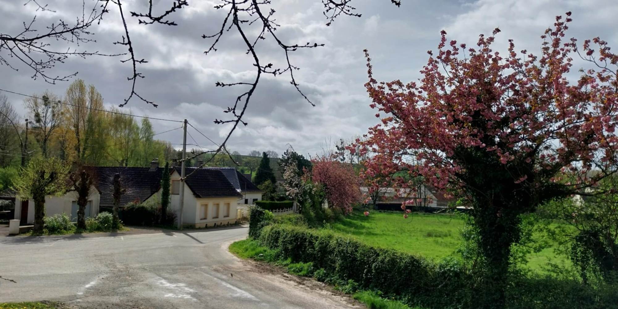 Petites routes bordées de fleurs et de haies champêtres, parfaites pour un séjour nature et détente dans le Pas-de-Calais.