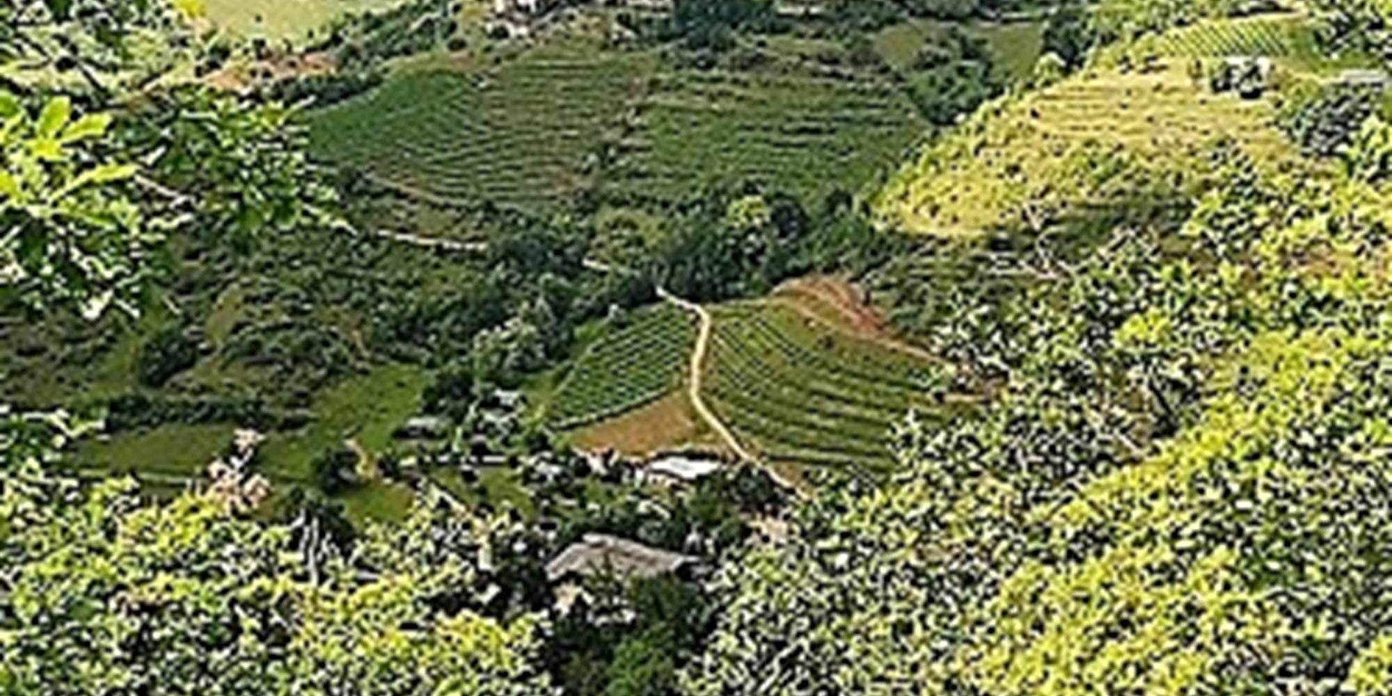 Les environs