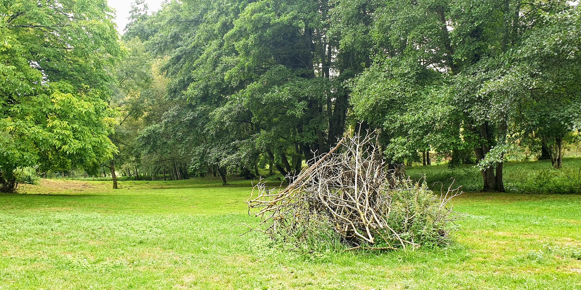Parc de 9000m2