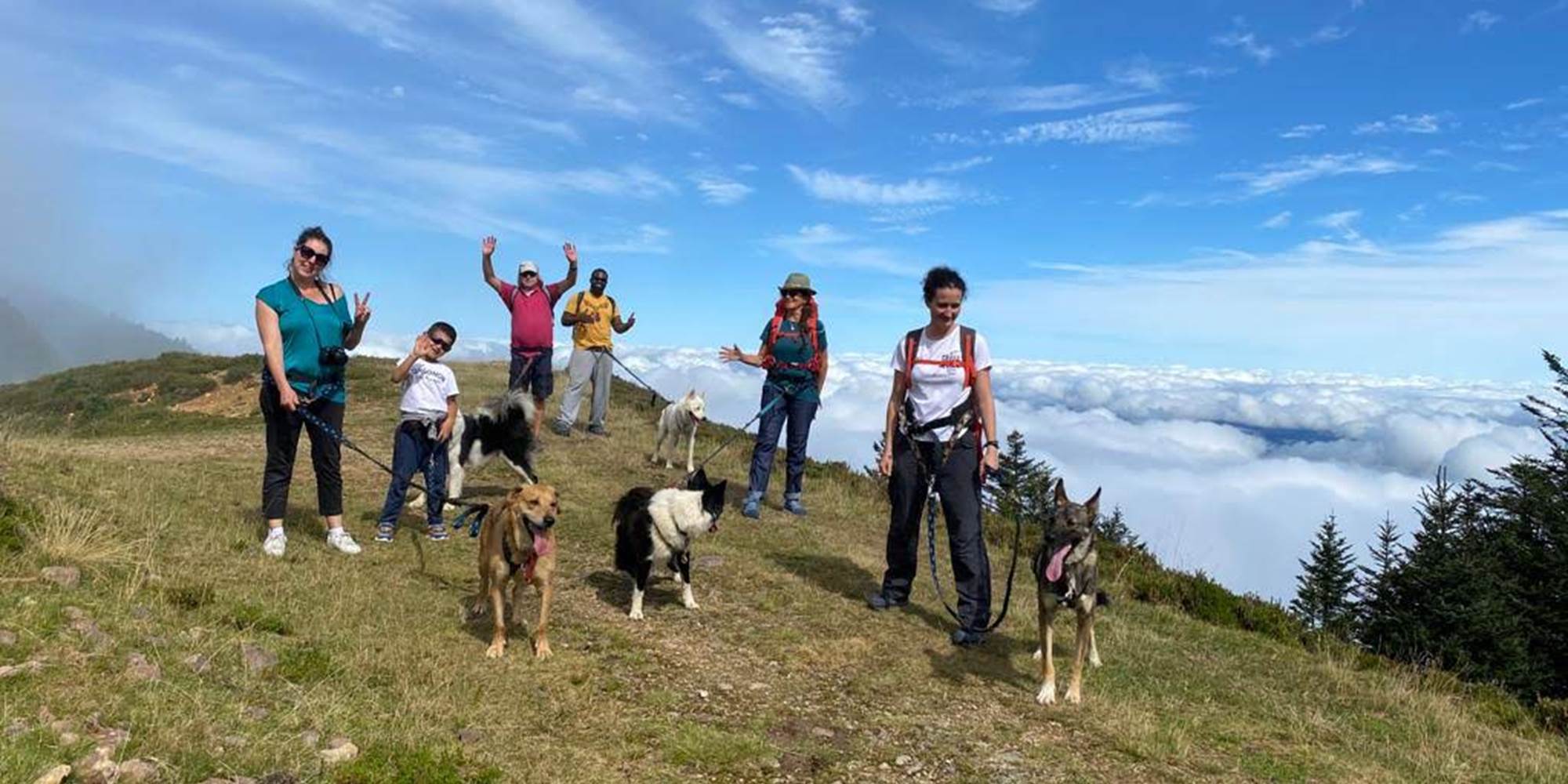 Cani-marche en famille avec les chiens de traineau