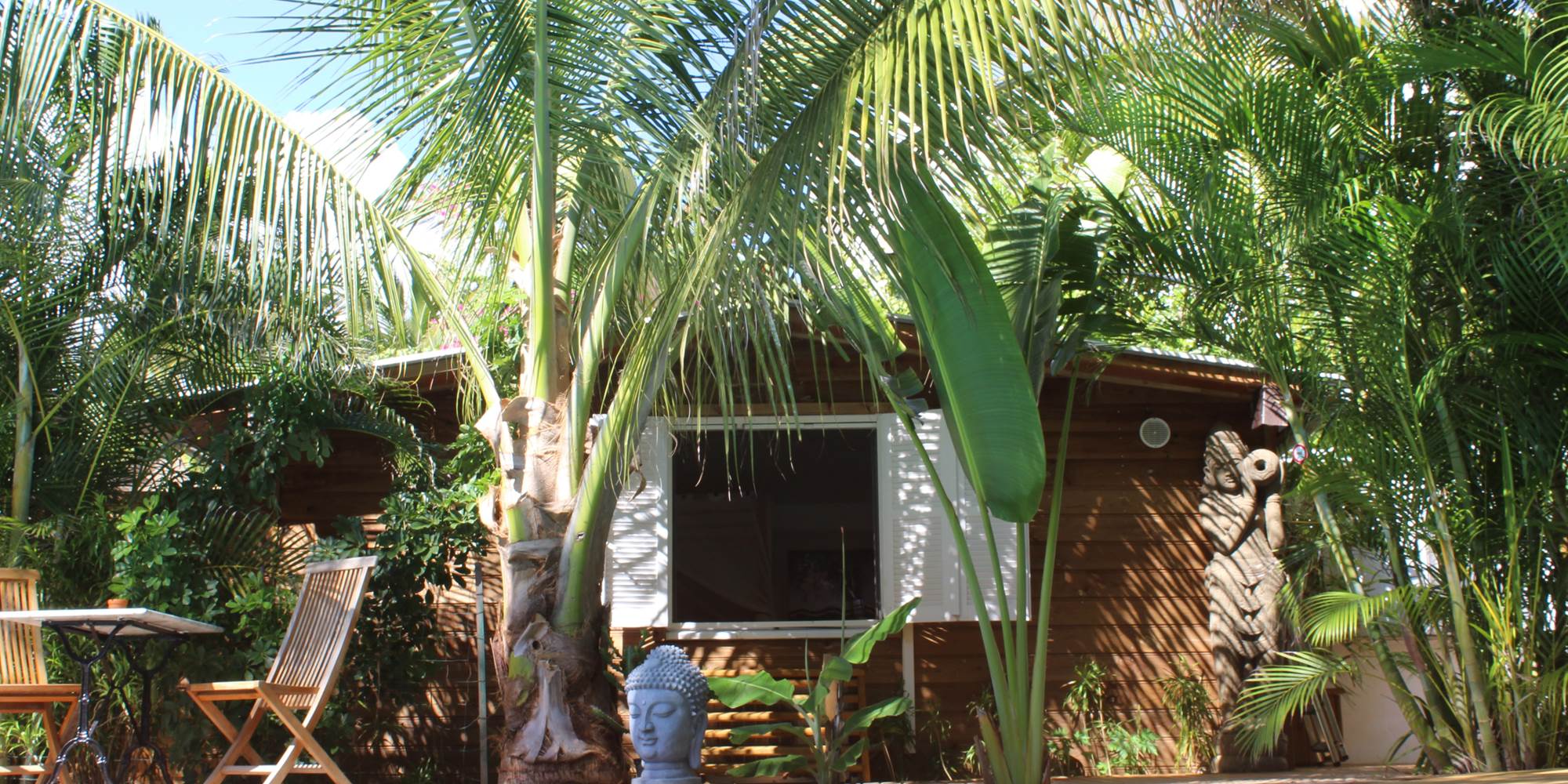 Vue du Yucca-Zen depuis le jardin-presta
