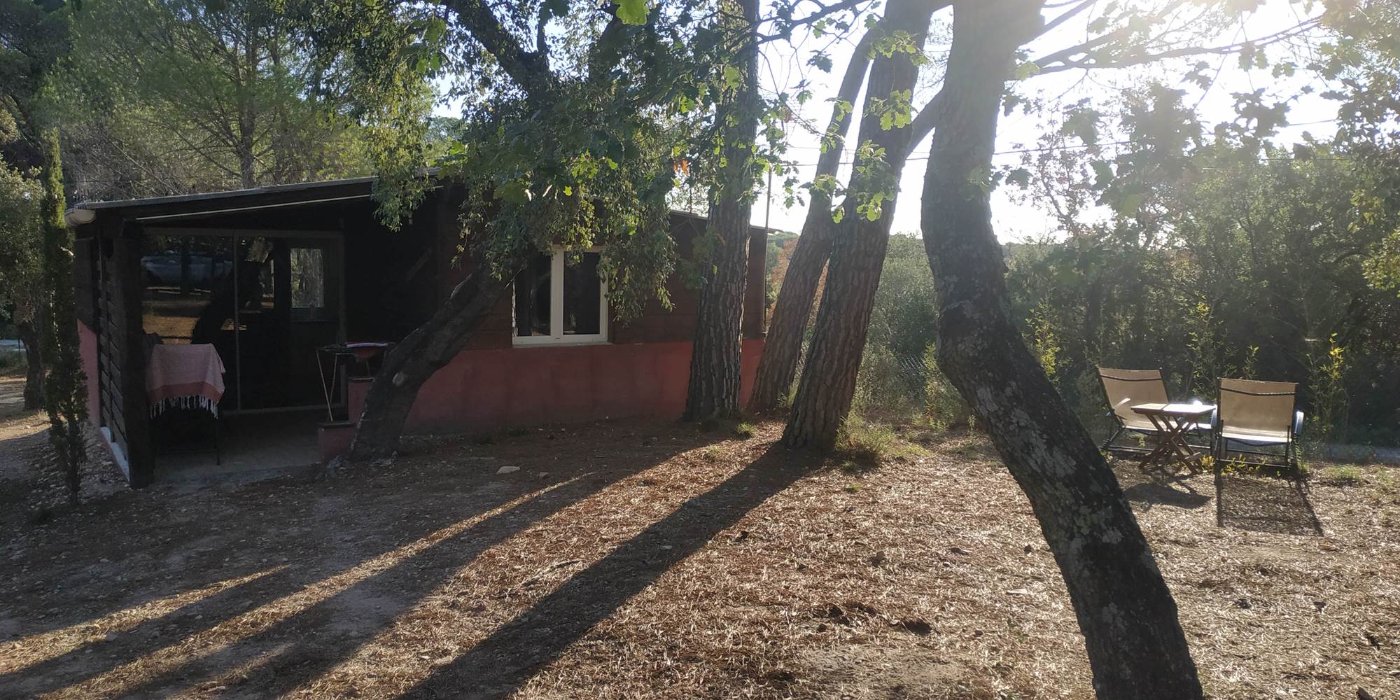 Bois de Santal 1 (1)