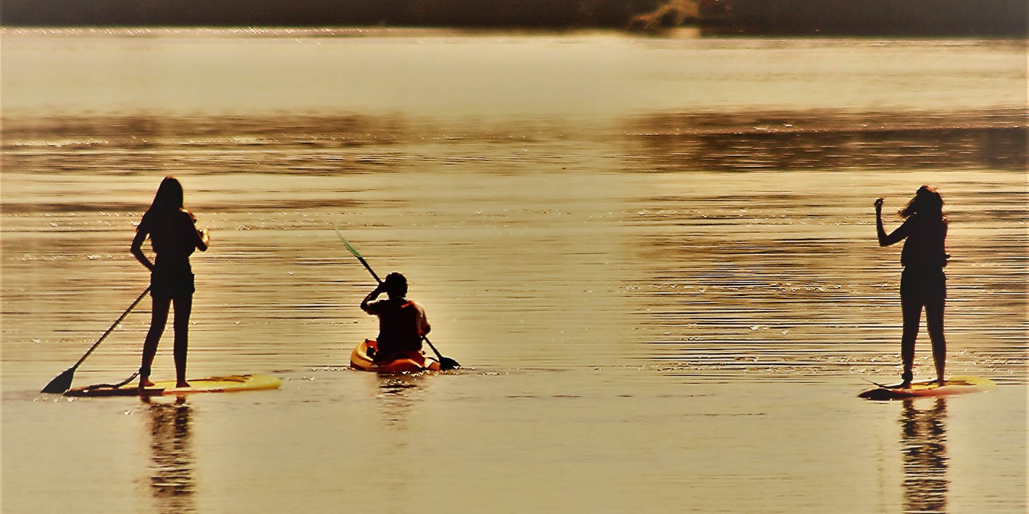 paddle