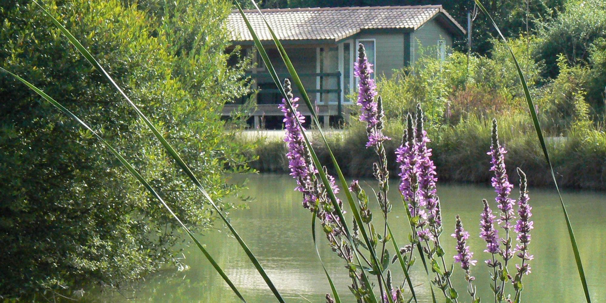 village de gites chalets de la heronniere