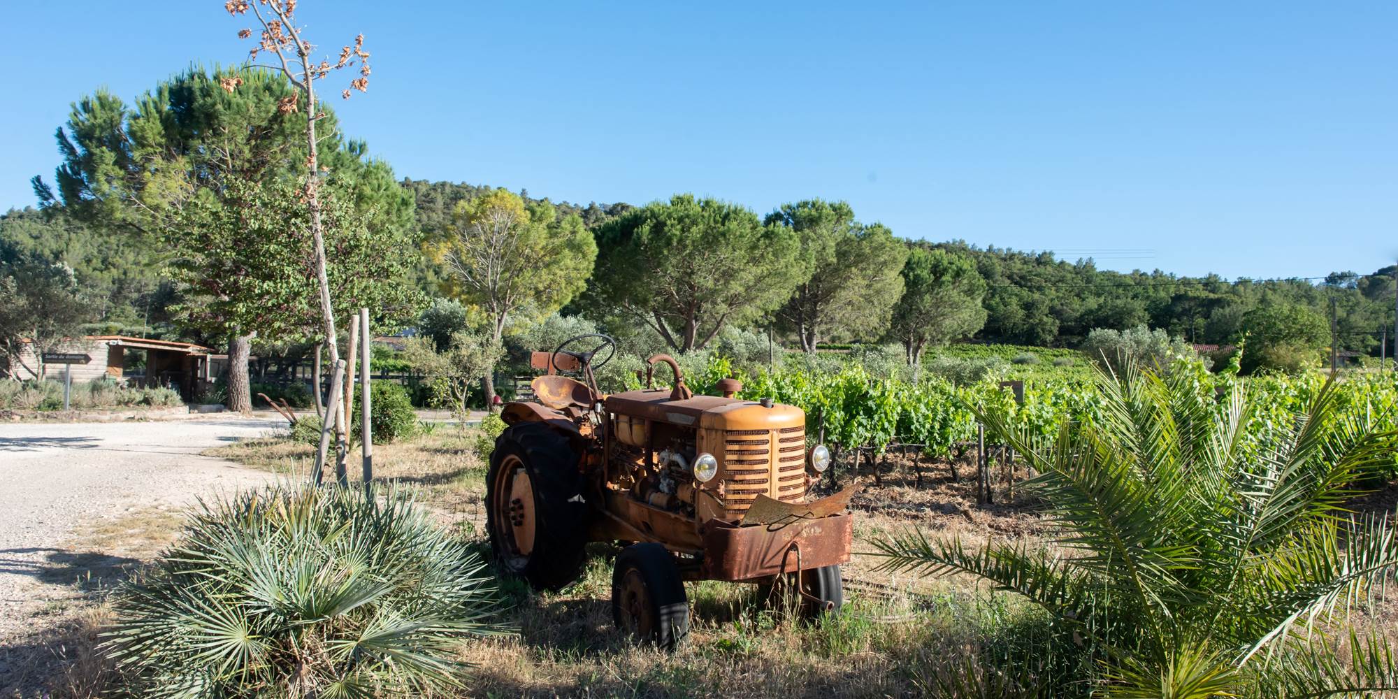 VIEUX TRACTEUR 1 REDI