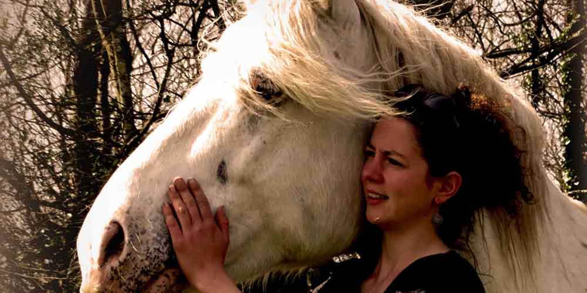 Domaine-des-Vallons-sulniac-morbihan-bretagne-sud