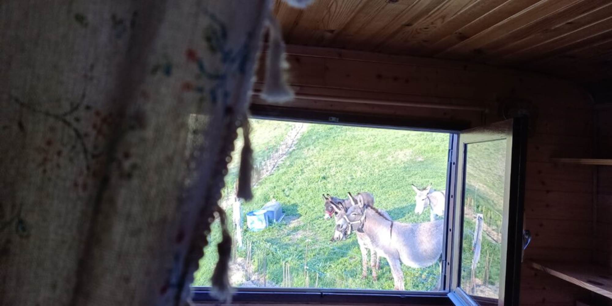 Vue de la fenêtre de la chambre (psst, pas d'inquiétude, les ânes ne dorment pas sous votre fenêtre, ils sont rentrés chaque soir).